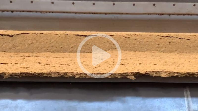 擠漿機出漿視頻